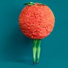 BWW Review: THE LOVE FOR THREE ORANGES Is A Bizarre, Juicy, Fairytale Feast Of Color…