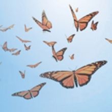 Austin Jewish Repertory Theater Stages AS BUTTERFLIES at Congregation Beth Israel