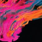 Renowned Opera Singers Join Houston Symphony and Chorus for Haydn's CREATION