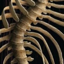 The Shakespeare Theatre of New Jersey Presents Shakespeare's Most Notorious King