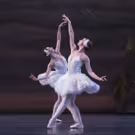 BWW Review: Heather Ogden is One Strong Swan in the National Ballet of Canada's SWAN…