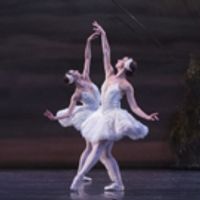BWW Review: Heather Ogden is One Strong Swan in the National Ballet of Canada's SWAN Photo