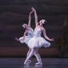 BWW Review: Heather Ogden is One Strong Swan in the National Ballet of Canada's SWAN 