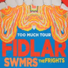 FIDLAR Collaborates with The Flaming Lips on New Music Video for 'Punks'