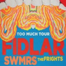 FIDLAR Collaborates with The Flaming Lips on New Music Video for 'Punks'