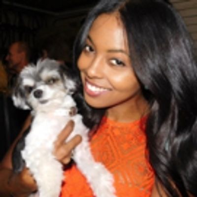 Photo Flash: Tinkerbelle the Dog Visits Broadway&#039;s SHUFFLE ALONG