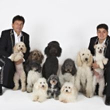 OLATE DOGS and LET IT BE Added to the King Center Season