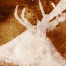 Seattle Rep Associate Artistic Director Marya Sea Kaminski Directs Ellen McLaughlin's