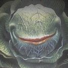 Soluna Studio to Produce LITTLE SHOP OF HORRORS