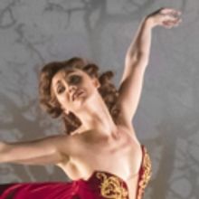BWW Review: MATTHEW BOURNE'S THE RED SHOES, Sadler's Wells