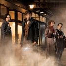 'FANTASIC BEASTS' Generates Magical Half Billion Dollars at Worldwide Box Office