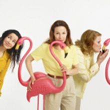 MARVIN'S ROOM, Starring Janeane Garofalo, Lili Taylor and Celia Weston, Starts Tomorr