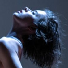 Velocity's Bridge Project Returns in 2016