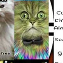 Julesworks Returns 11/15 with FOLLIES #47