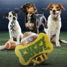 PUPPY BOWL XII Returns to Animal Planet 2/7
