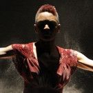 Two Detroit Area Raised Dancers Lead Return of Dallas Black Dance Theatre