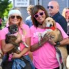 Miranda Lambert Kicks Off Muttnation Foundation Adoption Drive at CMA Music Festival
