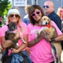 Miranda Lambert Kicks Off Muttnation Foundation Adoption Drive at CMA Music Festival