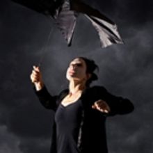 BWW Review: Delightful NEARLY LEAR Brings Kid-Friendly Shakespeare to the Kennedy Cen