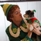 Photo Flash: Tinkerbelle the Dog Celebrates Buddy the Elf's Arrival to Madison…
