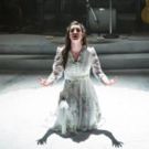 BWW Review: Drink to Love and Love to Drink at The Musical Stage Company's ONEGIN
