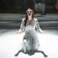 BWW Review: Drink to Love and Love to Drink at The Musical Stage Company's ONEGIN Photo