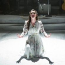 BWW Review: Drink to Love and Love to Drink at The Musical Stage Company's ONEGIN