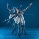 Photo Flash: First Look at Chicago Dance Crash's EVIL & GOOD