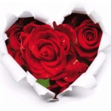 Tenor Anthony Kearns to Return to Lismore Opera Festival in L'ELISIR D'AMORE