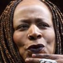 BWW Interview: Dael Orlandersmith Talks NYTW's FOREVER