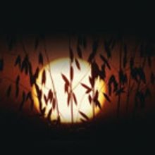 Vancouver Chamber Choir Presents THE ESSENCE OF MUSIC this Weekend