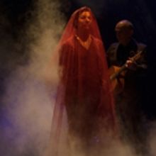 BWW Review: ADELAIDE CABARET FESTIVAL 2017: ANCIENT RAIN - PAUL KELLY & CAMILLE O'SUL