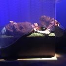 Photo Flash: Caridad Svich's ARCHIPELAGO Makes U.S. Debut
