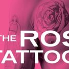 Williamstown Theatre Festival Launches 2016 Season with THE ROSE TATTOO and COST OF…