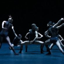 BWW Review: Sydney Dance Company Opens in New York City