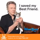 Oscar-Winner Christopher Walken Advocates Adopting Shelter Cats