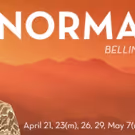 Dallas Opera Presents Bellini's NORMA, 4/21-5/7