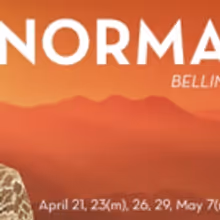 Dallas Opera Presents Bellini's NORMA, 4/21-5/7