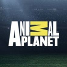 Animal Planet Premiere New Series CURSE OF THE FROZEN GOLD Today