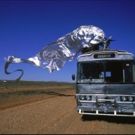 Actors Benevolent Fund of NSW to Present Sing-A-Long Screening of 'PRISCILLA'
