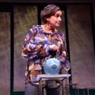 BWW Review: BLACKBERRY WINTER at Orlando Shakes