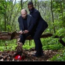 Elastic City Presents THE LAST WALKS Festival This Month