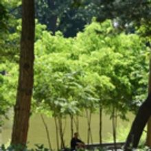 Captain Tilly Park Undergoes $1.2 Million Reconstruction