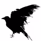 Shaker Theatre Arts to Present NEVERMORE: THE TALES OF EDGAR ALLAN POE
