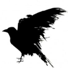 Shaker Theatre Arts to Present NEVERMORE: THE TALES OF EDGAR ALLAN POE