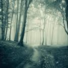 Immersive FICTION Comes to Edinburgh Fringe