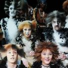 STAGE TUBE: GREASE LIVE, Megan Hilty, CATS, and More Extras You Missed on Facebook…