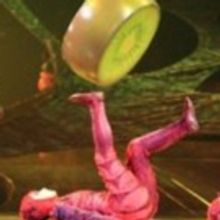 BWW Review: Cirque Du Soleil's OVO, at U.S. Bank Arena, Delights Cincinnati with Whim