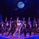 TDF to Offer First Autism-Friendly Performance of Broadway's CATS