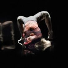 Artists Announced for Major Rodin Exhibition